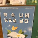 파주 나비나라박물관 | 파주 아이와 함께 가볼만한 곳 곤충체험관 나비나라박물관 내돈내산 후기