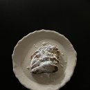 페트리코 이미지