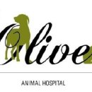 올리브동물병원 이미지