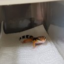 한신트레이딩 네이버블로그