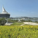 이포보 오토 캠핑장 이미지