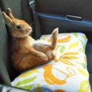 대통PC방 이미지