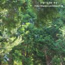 수남농장 이미지