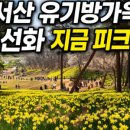 (주)가온여행