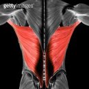 짐엑스텐 이미지