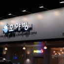 호야빙 - 성남시 분당구 백현로150번길 7-4 | [쩝쩝 박사 맛집 일기] 역삼 맛집 호야빙 빙수 후기(멜론 빙수와 크로플)