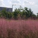 동호유적근린공원 이미지