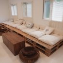 애견 쌀롱 이미지