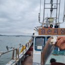 7월 16일 오천항 길손피싱호 백조기낚시^^ 이미지