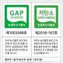 솔지네 네이버블로그