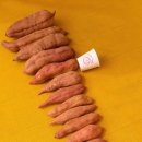 삼시한끼고구마 이미지