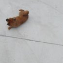 라끄베르 펜션 이미지