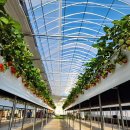 하늘농장2 이미지