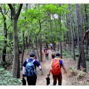 승현농장 이미지