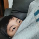 김정훈이비인후과의원 이미지