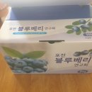 금현농장 네이버블로그