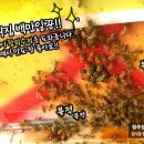 요셉 농장 이미지