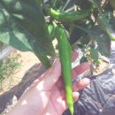 무럭이농장 이미지