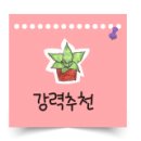 미호네 이미지