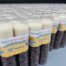 박종우태권도 이미지