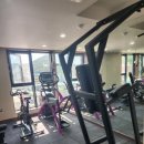 하운드 오시리아점 이미지