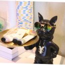 뽕짝노래연습장 이미지