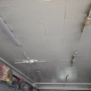 코코애견샵 | 논산 코코애견 실내등 교체 후기 - 반려동물과 함께하는 밝고 안전한 공간 만들기