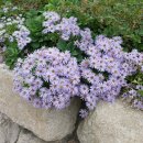 서린엘마르 센트로 뷰 이미지