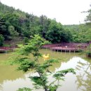 동화택시 이미지