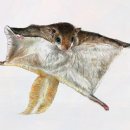 자녀를위한기초미술 | 무한미술학원에서 선화예고입시 완벽 대비!