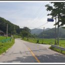 만취정로 티스토리