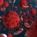 만다라한의원 이미지