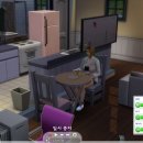 세진모드 이미지