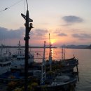 뉴팔레스빌 이미지