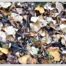 함라산둘레길 이미지