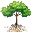 사랑인한의원 이미지