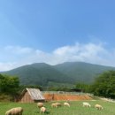 쌍계목장 이미지