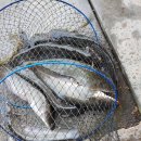 봉낚시터 이미지