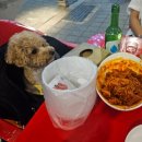 동일로163길 (21) | 장미축제 갔다가 들린 &lt;먹골 호프집&gt;에서 치맥+떡볶이(๑˃́ꇴ˂̀๑)