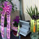 DAMA 당구장 Daum카페