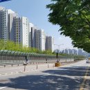 동백8로 이미지