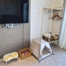 여수 유니코풀빌라펜션 12 | 여수여행 중 선택한 여수 네모 애견동반 풀빌라 펜션 솔직후기