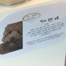 옥정제8어린이공원 이미지