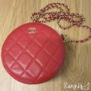 동그리생생 이미지