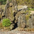 가평의아침 이미지