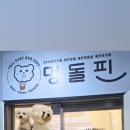 멍돌핀 이미지