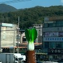 윤성욱내과의원 이미지