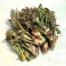 신구농장 이미지