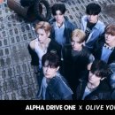 영 인터내셔날 이미지