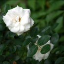 갈전농장 이미지